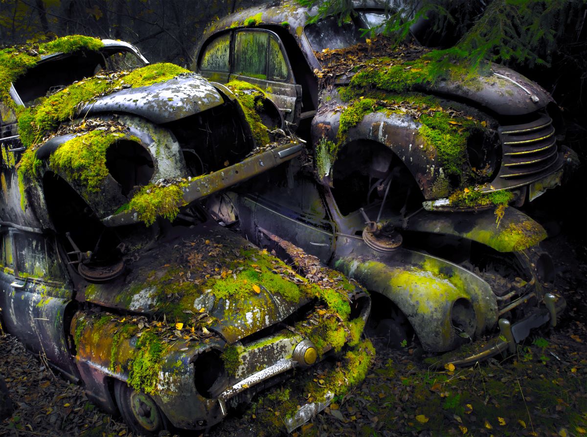 Forgotten