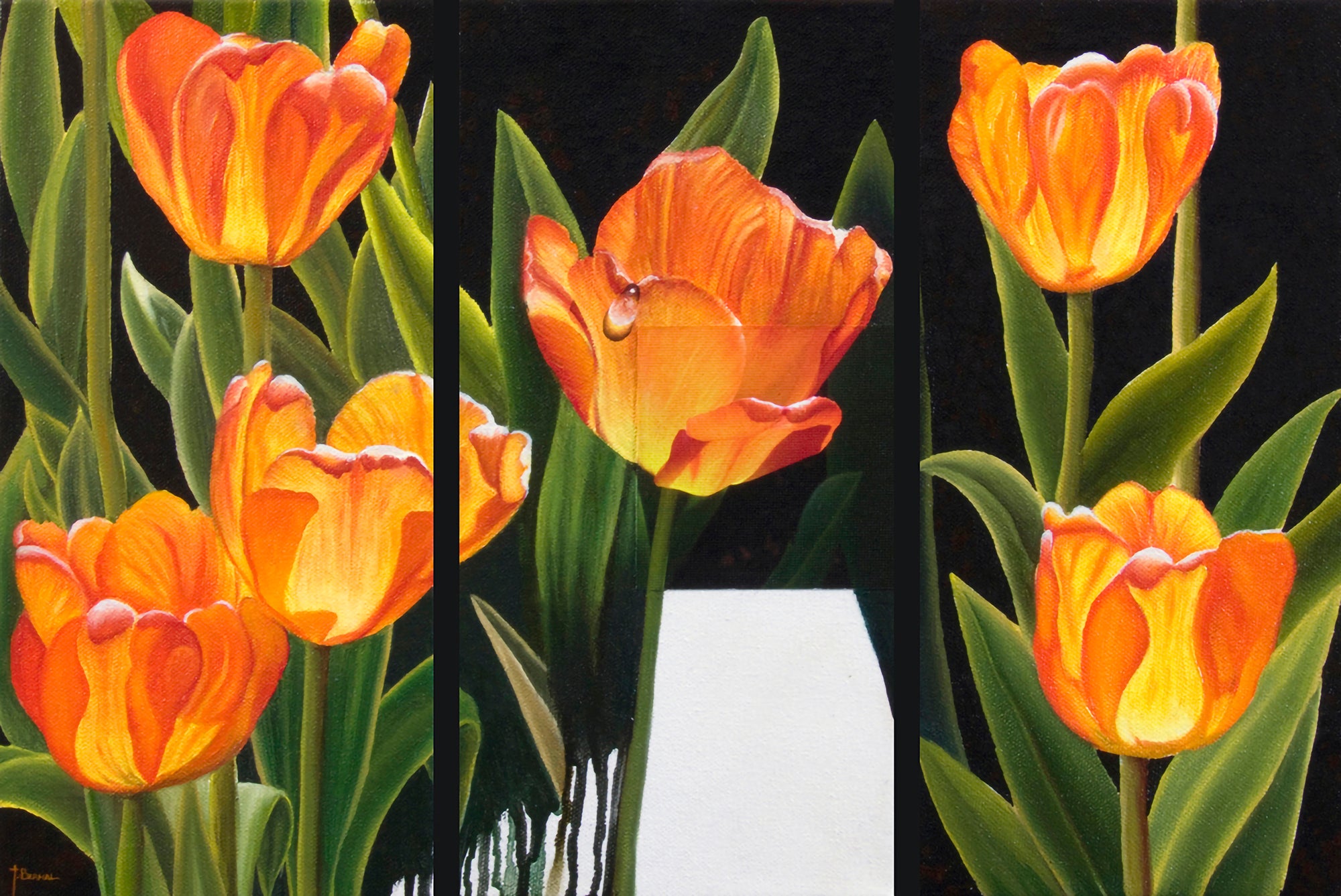 Tulips