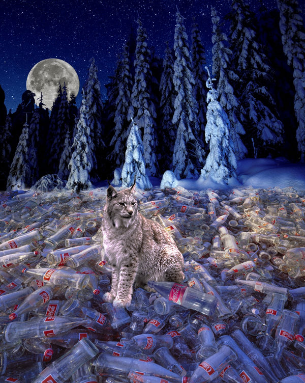 When You Leave A Lynx With A Thousand Bottles Of Coke, This Is What You Get