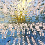 After The Rain At The Colosseum