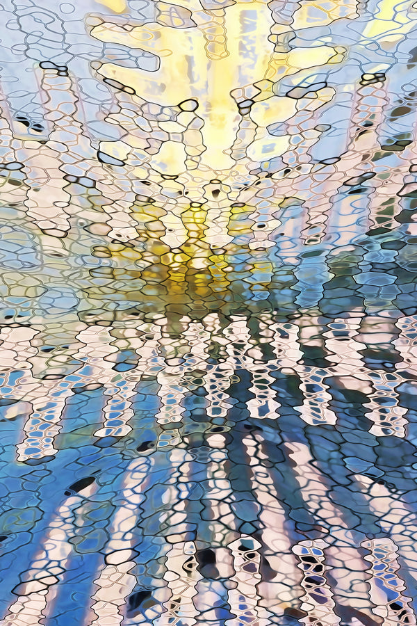 After The Rain At The Colosseum