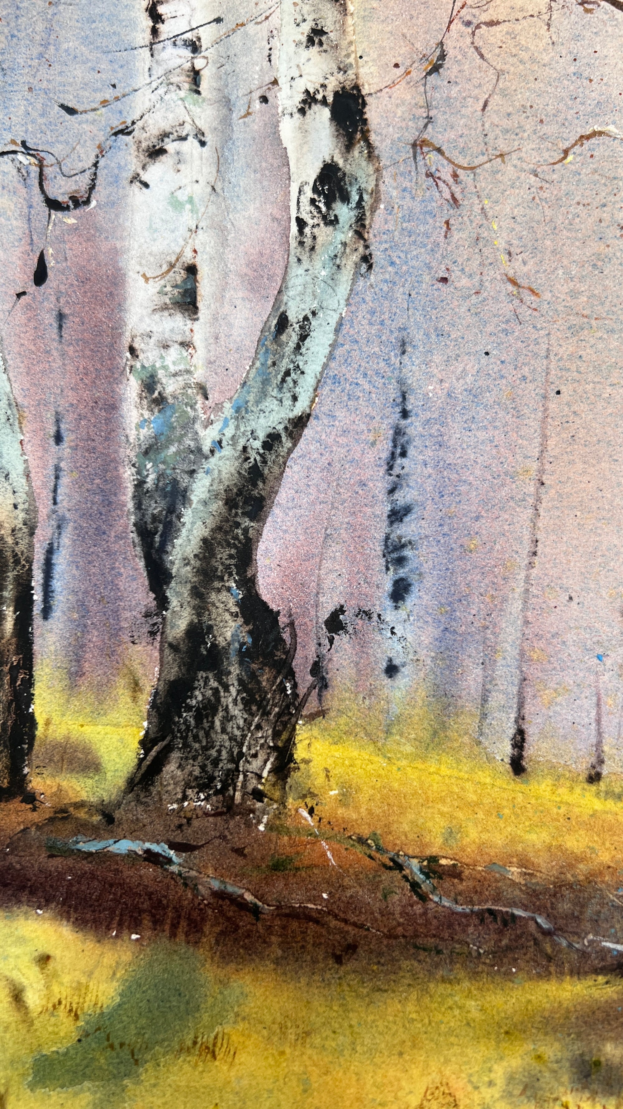 Birchwood Dreams