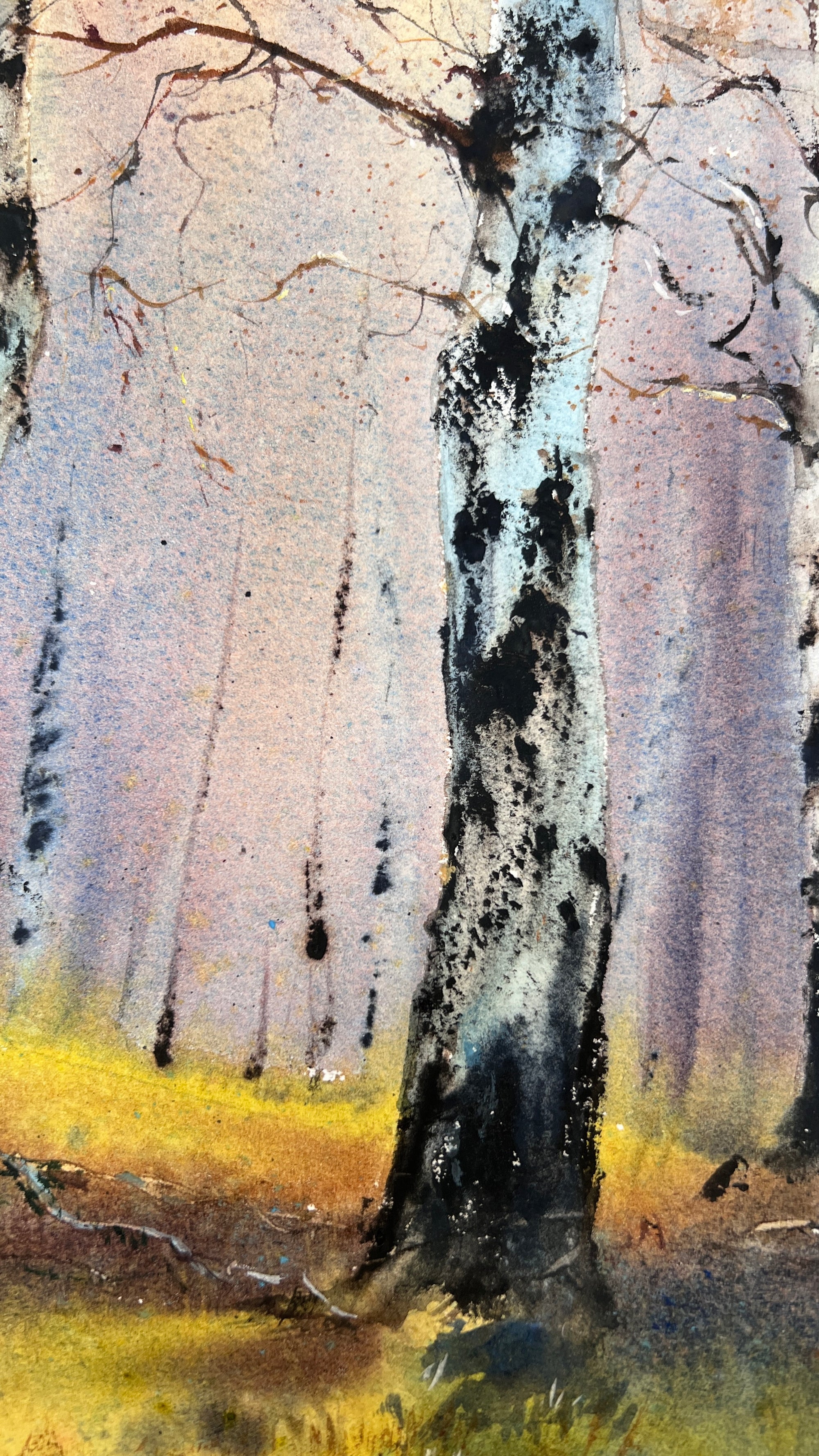 Birchwood Dreams