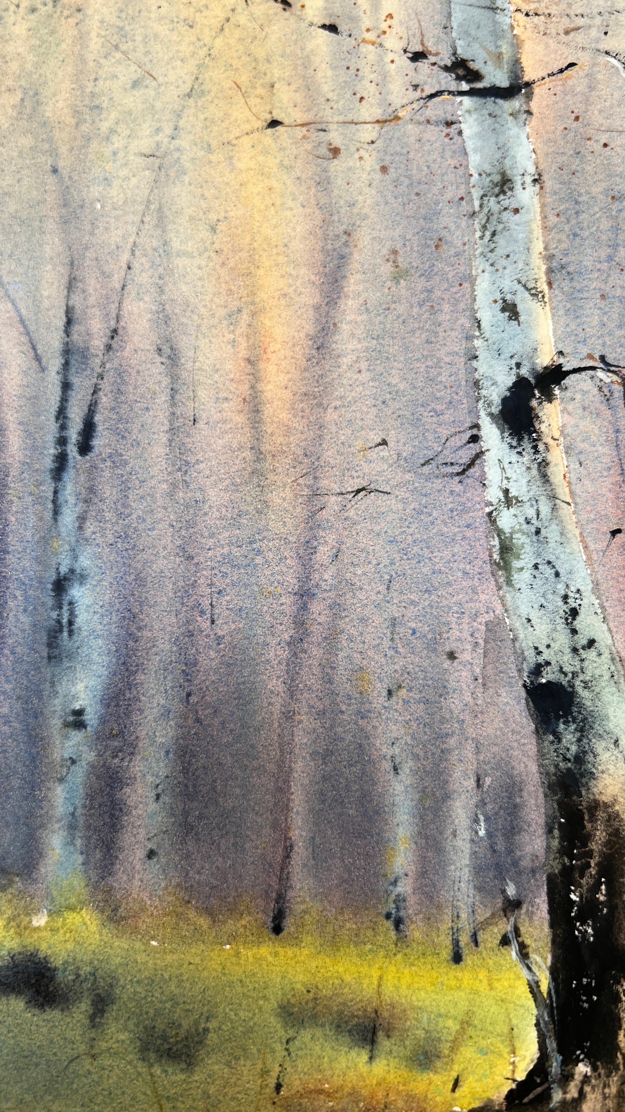 Birchwood Dreams