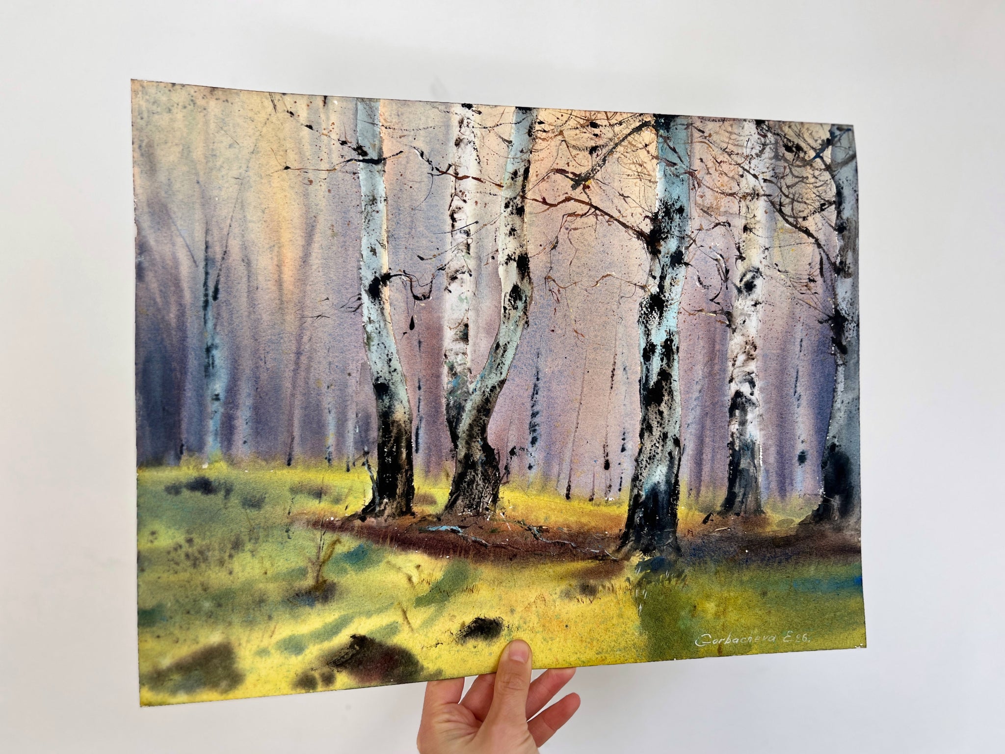Birchwood Dreams