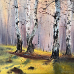 Birchwood Dreams