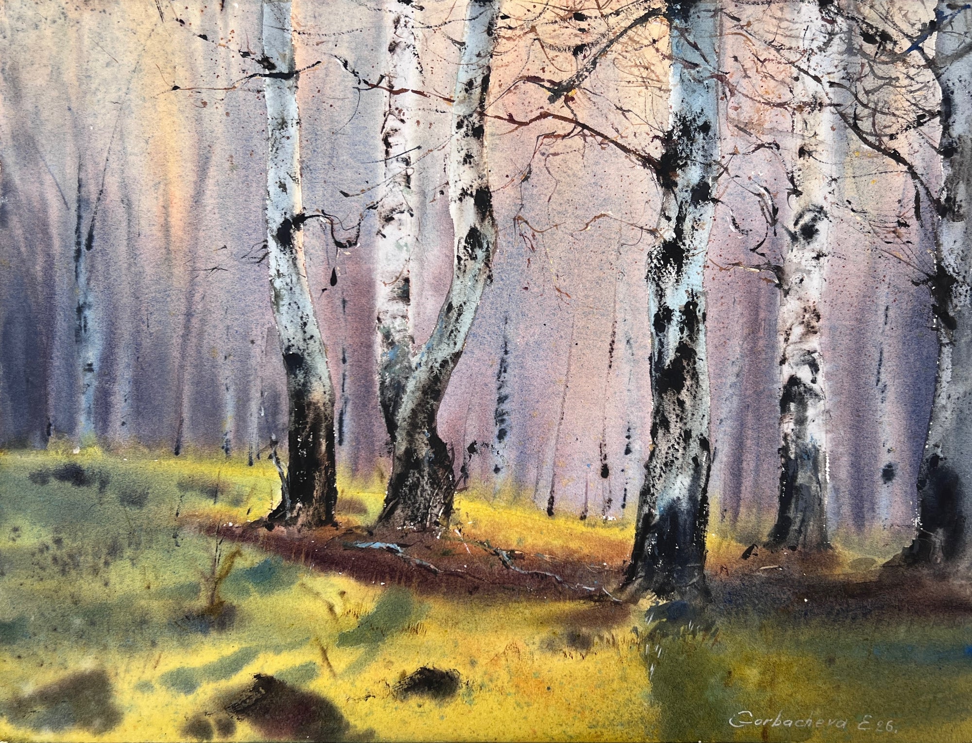 Birchwood Dreams