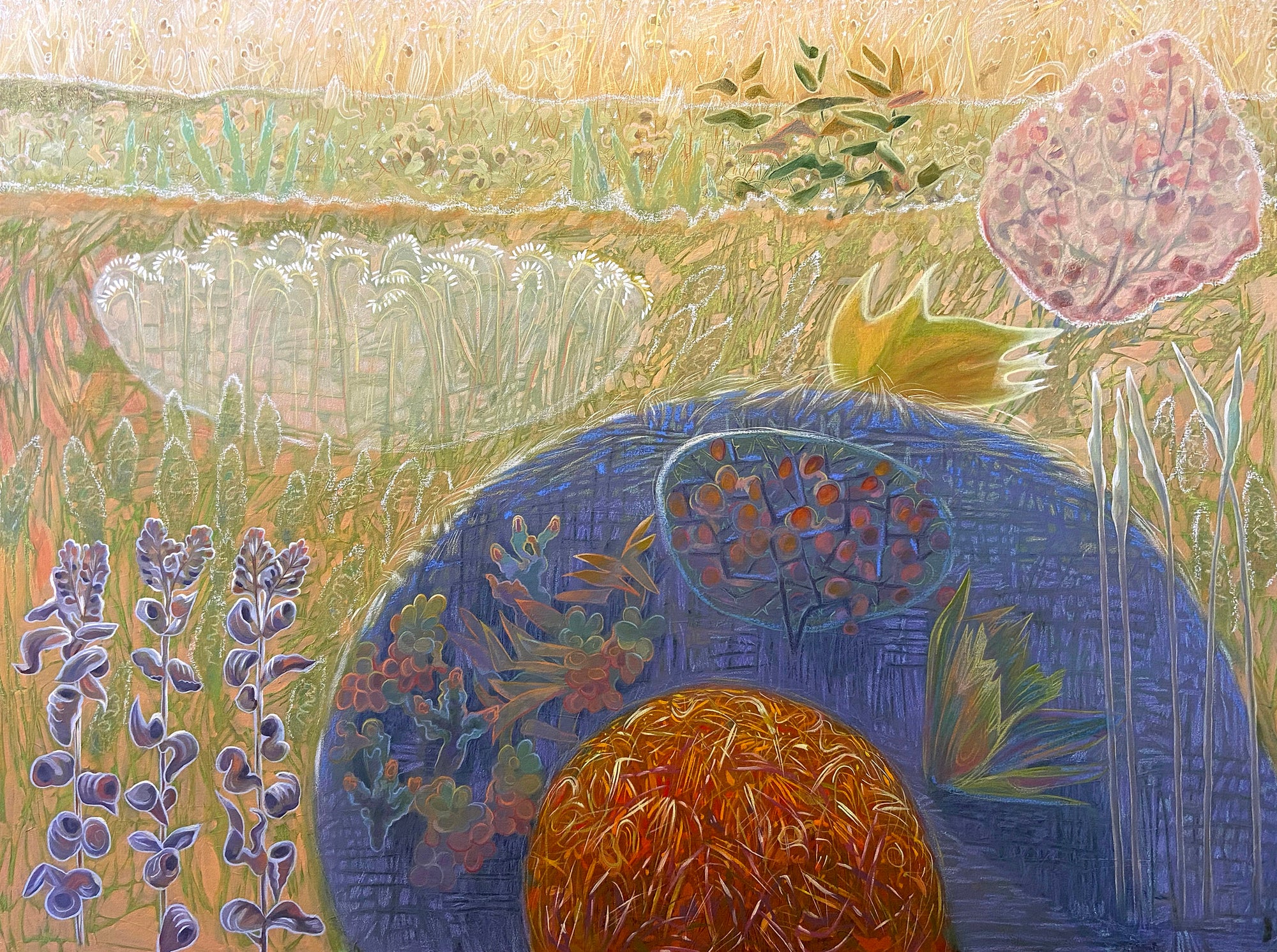 Skunk Canyon Meadow #2