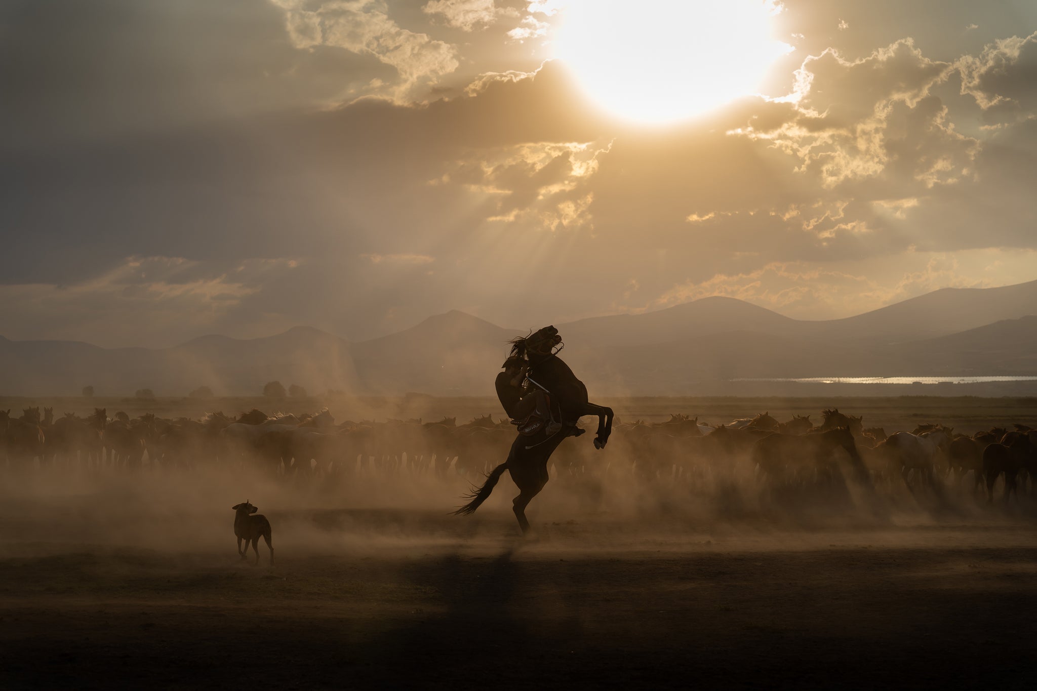 Yilki Horses of Kayseri and Their Herders - Bonded By Freedom