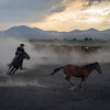 Yilki Horses of Kayseri and Their Herders - Chase Of The Wild