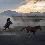 Yilki Horses of Kayseri and Their Herders - Chase Of The Wild