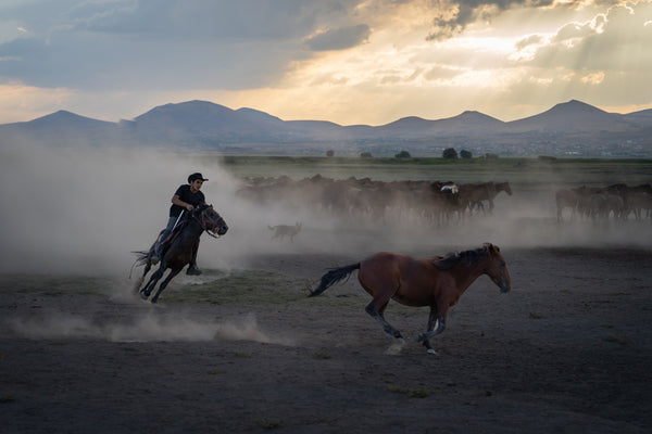 Yilki Horses of Kayseri and Their Herders - Chase Of The Wild