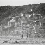 Crystal Cove Haze