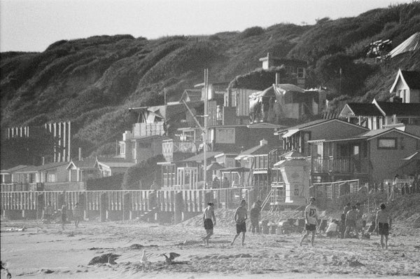 Crystal Cove Haze