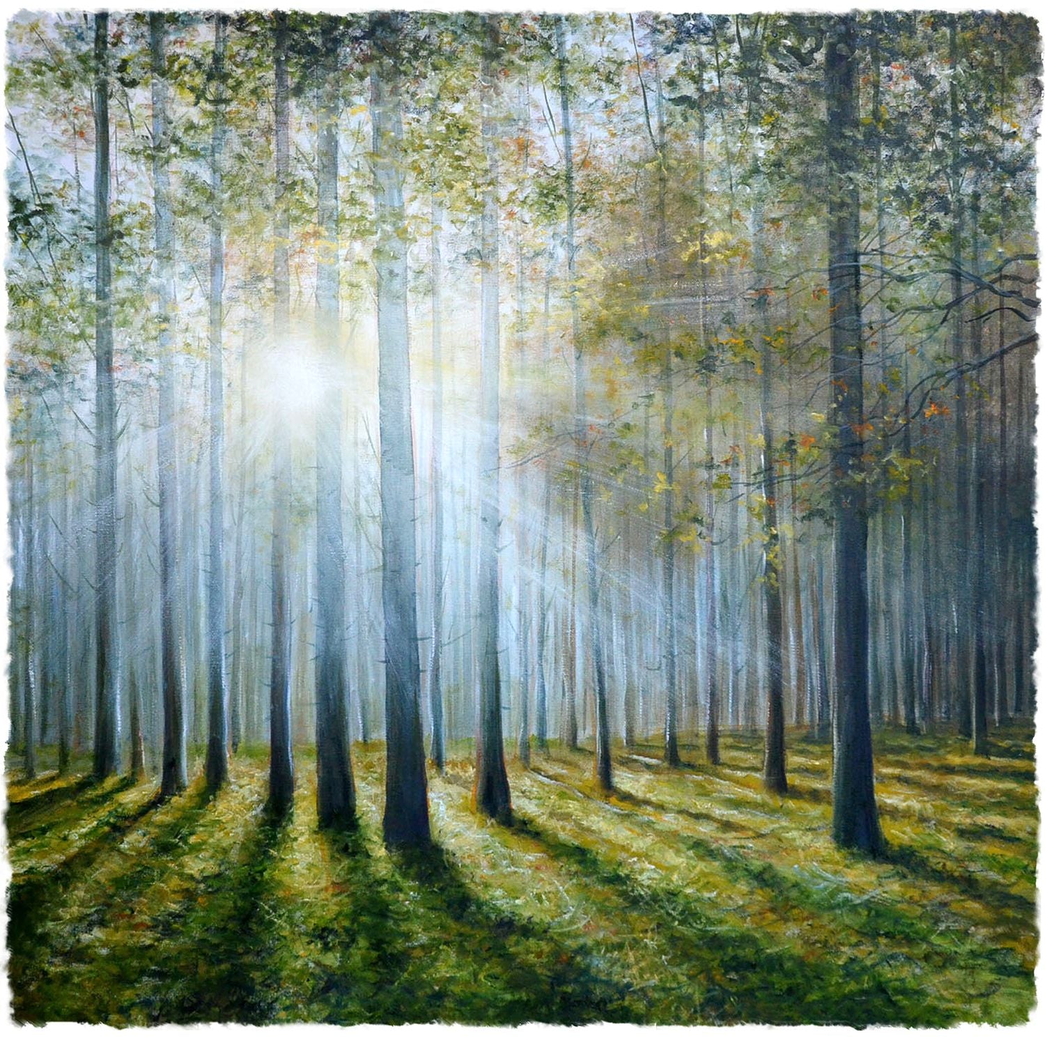 Morning Light