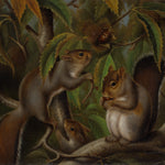 Untitled (Squirrels in a Chestnut Tree)