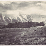 Distant View of the Cedars of Lebanon