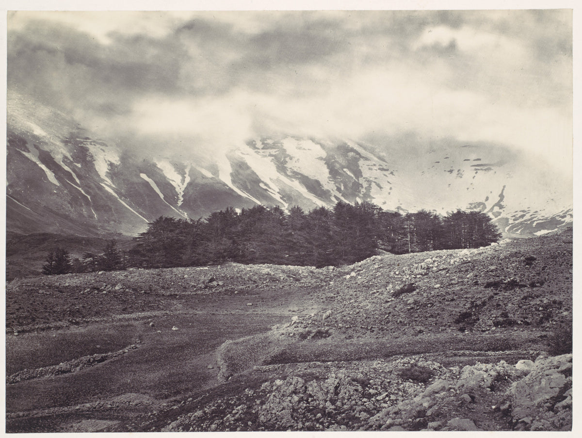 Distant View of the Cedars of Lebanon
