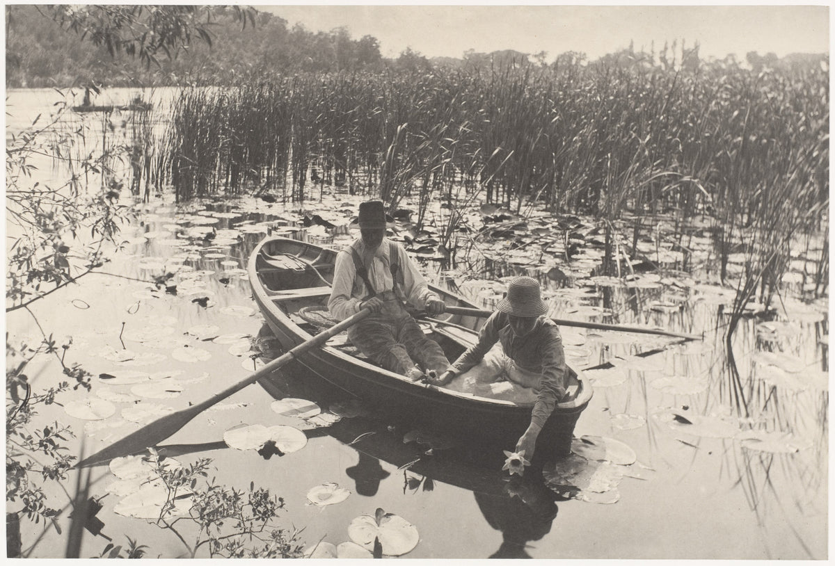Gathering Water-Lilies
