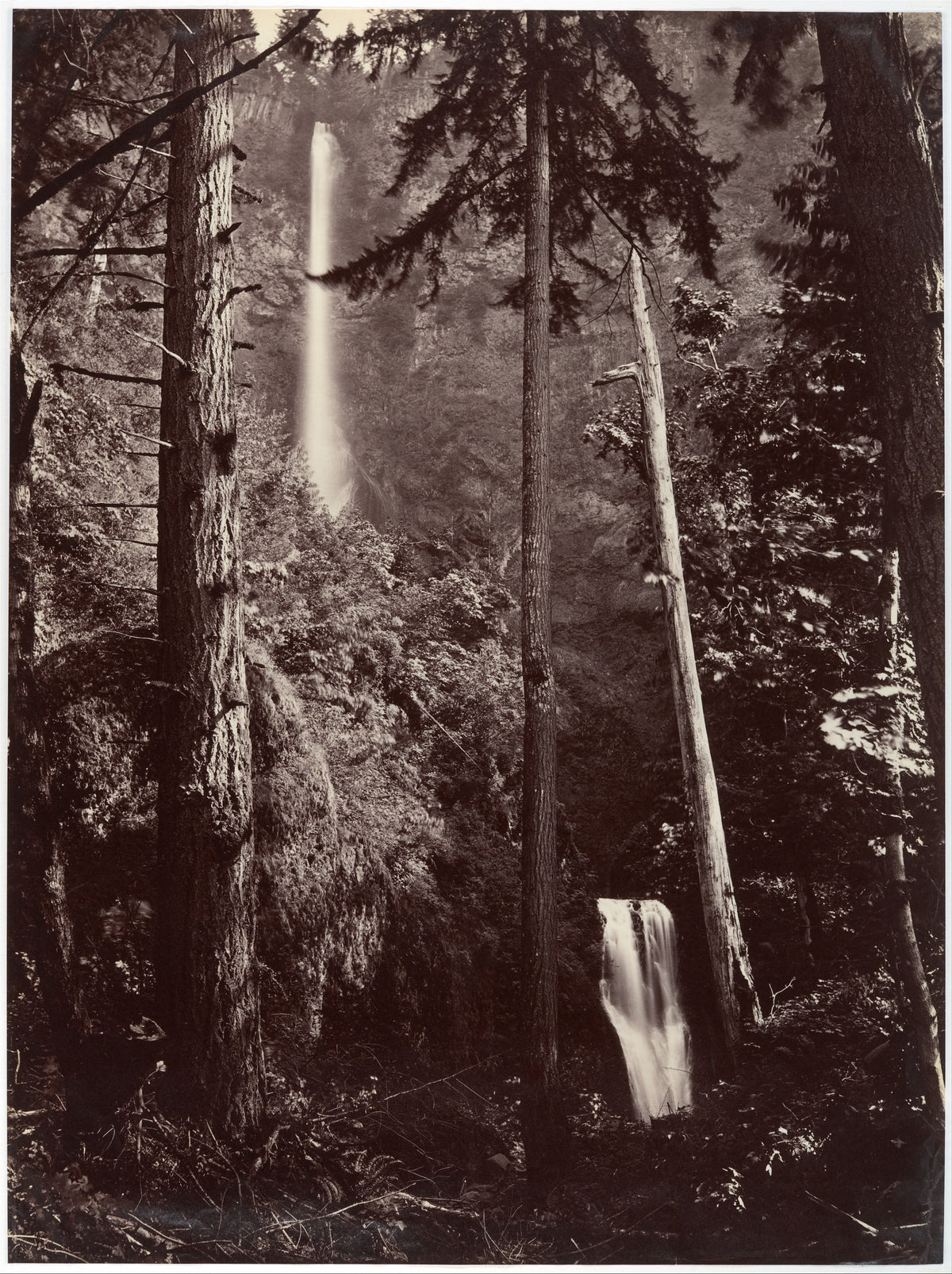 Multnomah Falls, Oregon