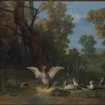 Ducks Resting in Sunshine