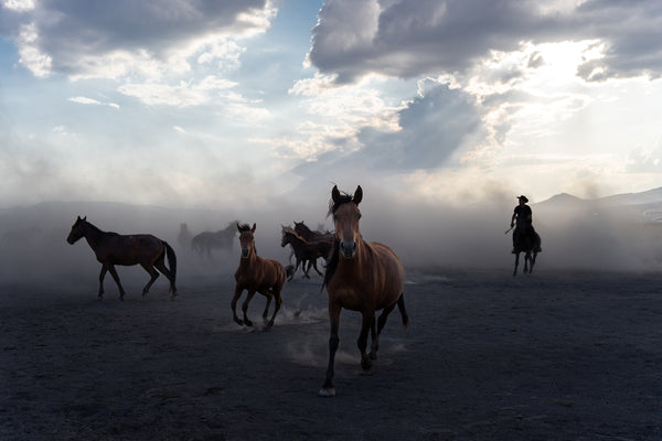 Yilki Horses of Kayseri and Their Herders - Echoes Of Freedom