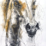 Charcoal and black chalk portrait of a horse, capturing its gaze, elegance, and quiet presence with warm earth tones and textured details.