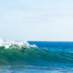Fins Out
