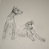 Gestured Sketch Dogs
