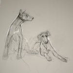 Gestured Sketch Dogs