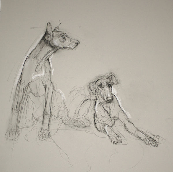 Gestured Sketch Dogs