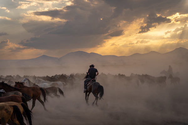 Yilki Horses of Kayseri and Their Herders - Guardians Of Tradition