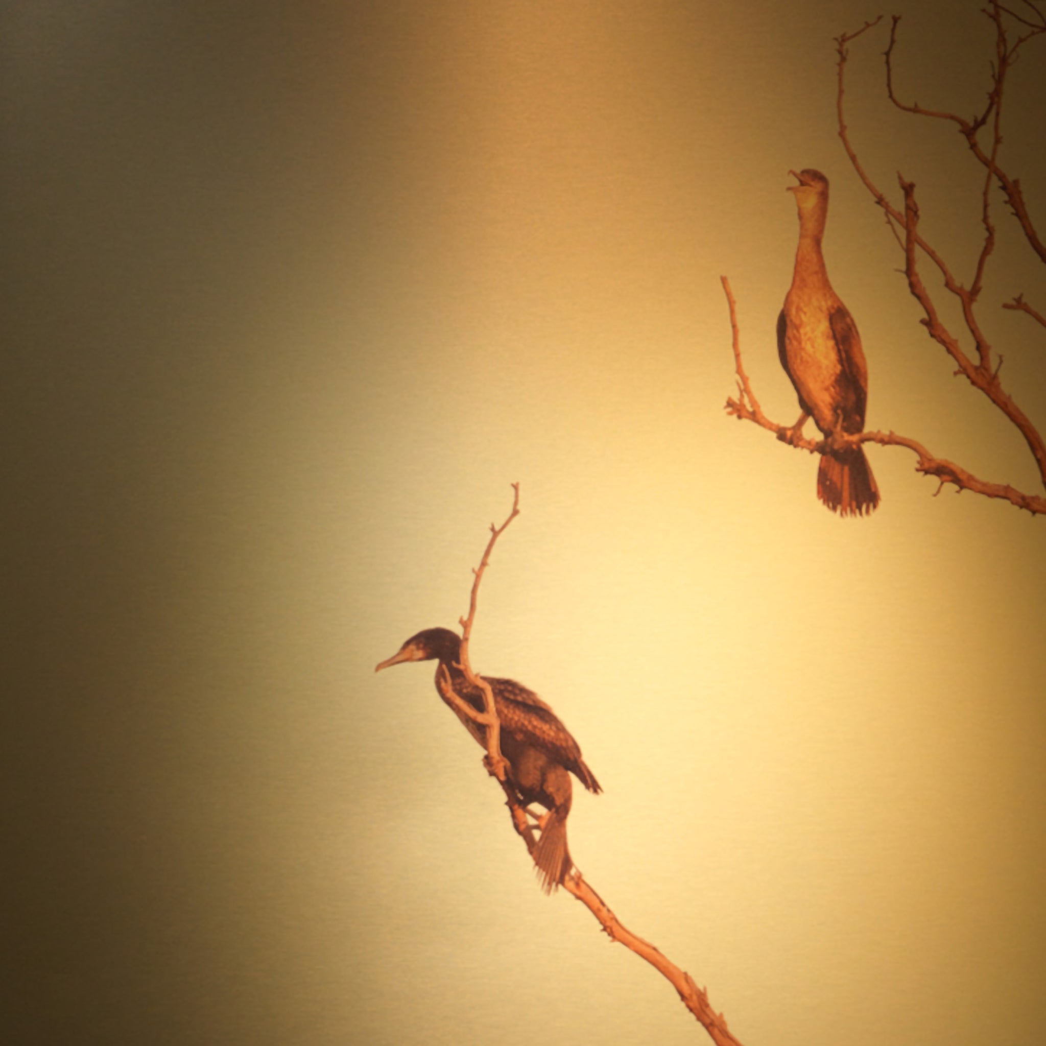 Hanging On To Gold LF