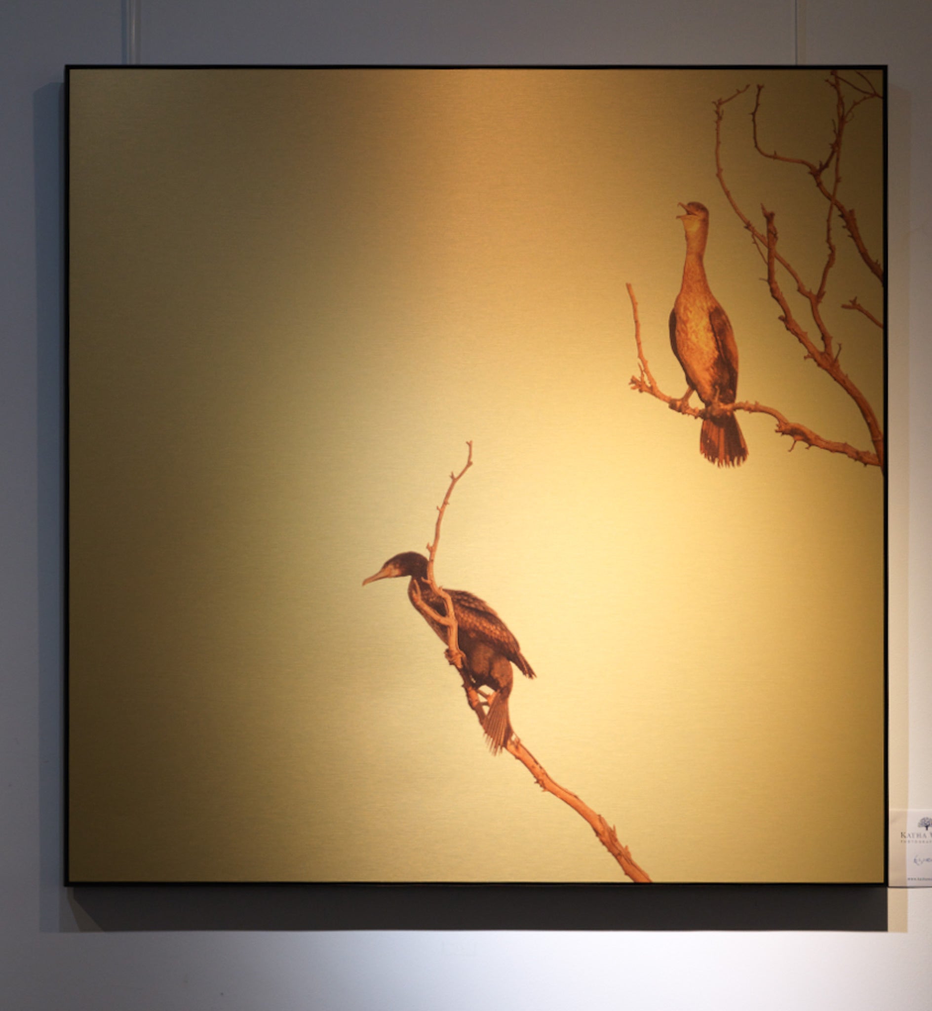 Hanging On To Gold LF