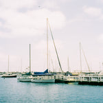 Harman Sailing