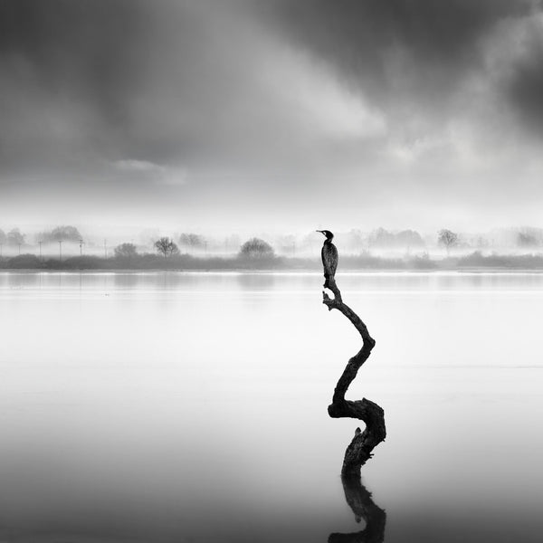 Whispers of Silence