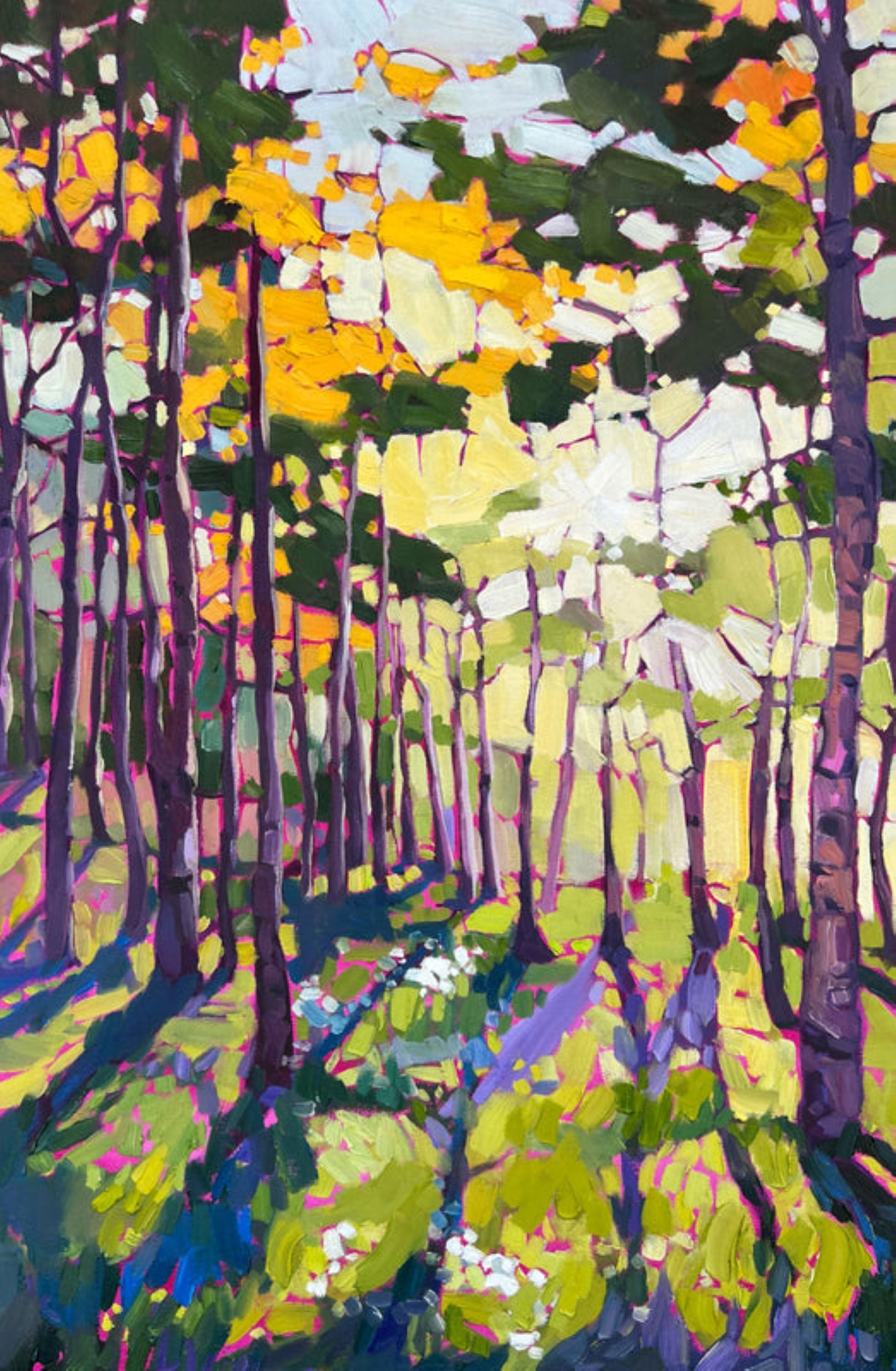 Forest scene with morning sunlight streaming through trees onto green and violet forest floor, conveying joy, renewal, and the warmth of nature.