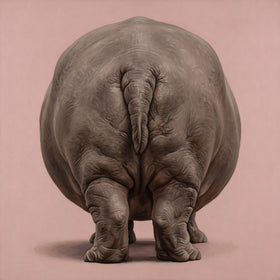 Hippopotamus Back