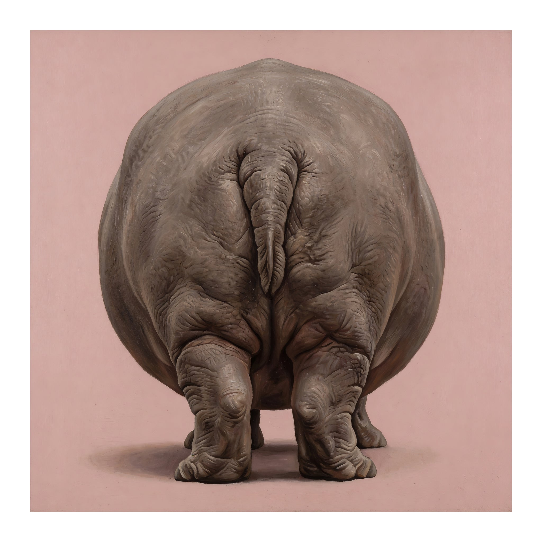 Hippopotamus Back