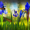 4 Iris