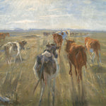 Long Shadows: Cattle on the Island of Saltholm