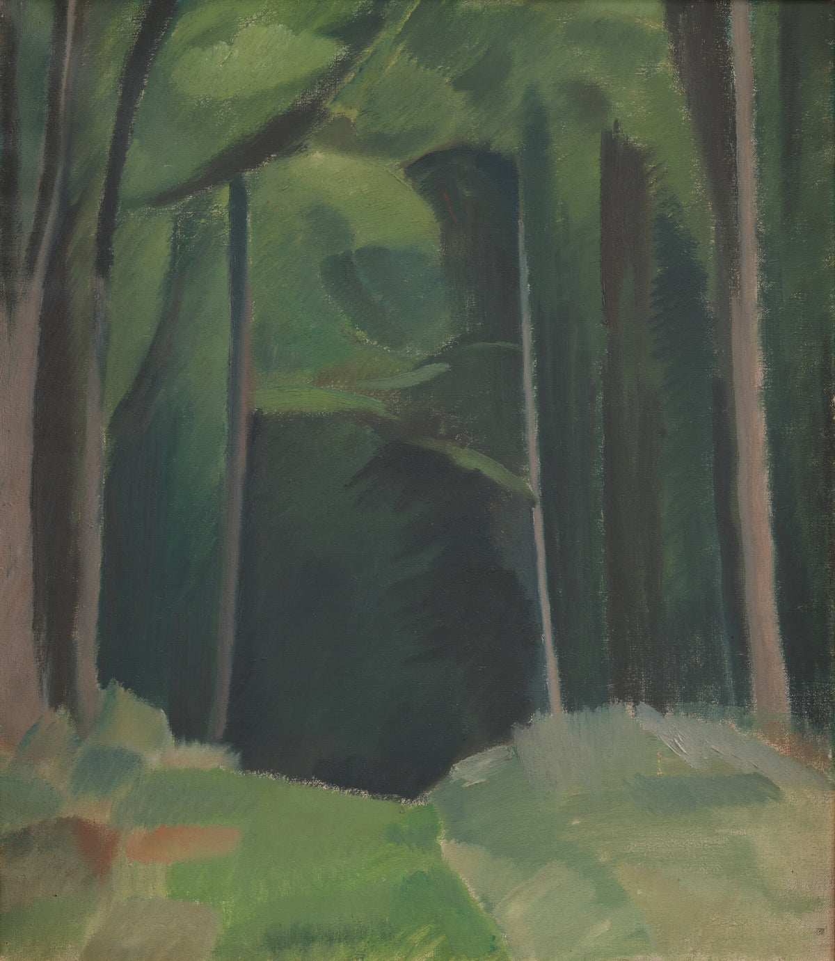 Inside the Wood