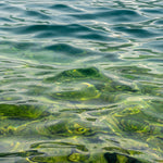 Lake Water