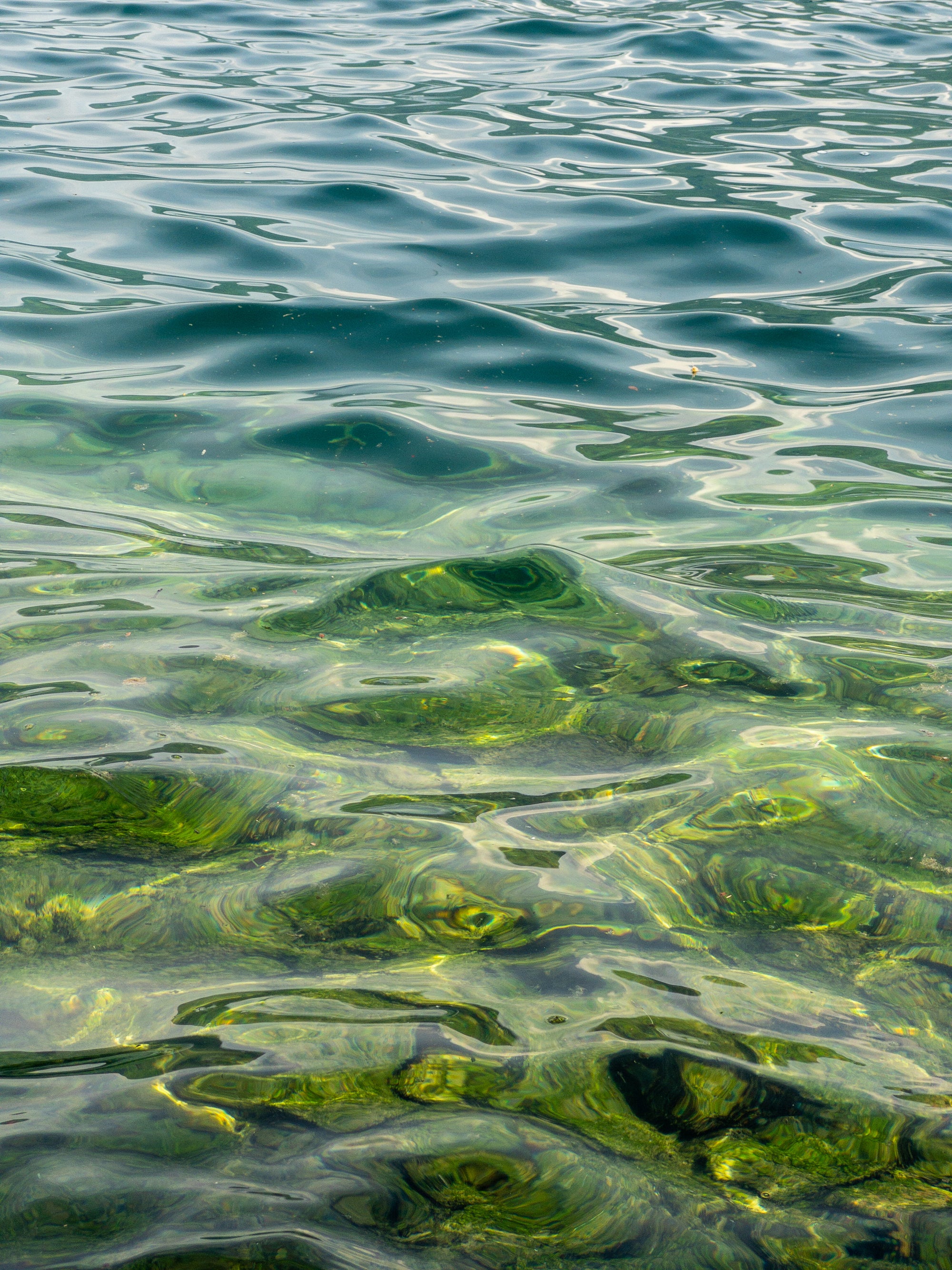 Lake Water