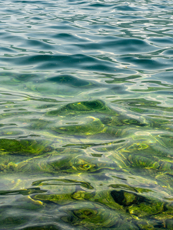 Lake Water
