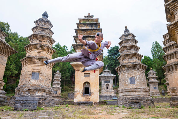 Little Shaolin Monks #4