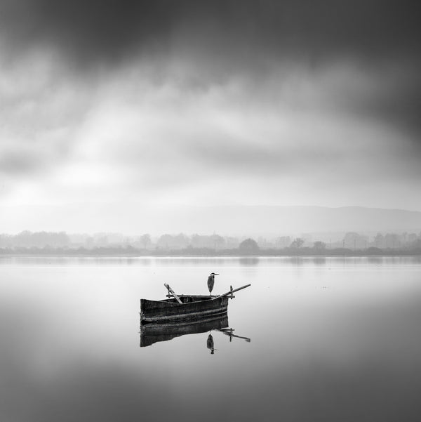 Heron