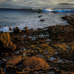 Low Tide