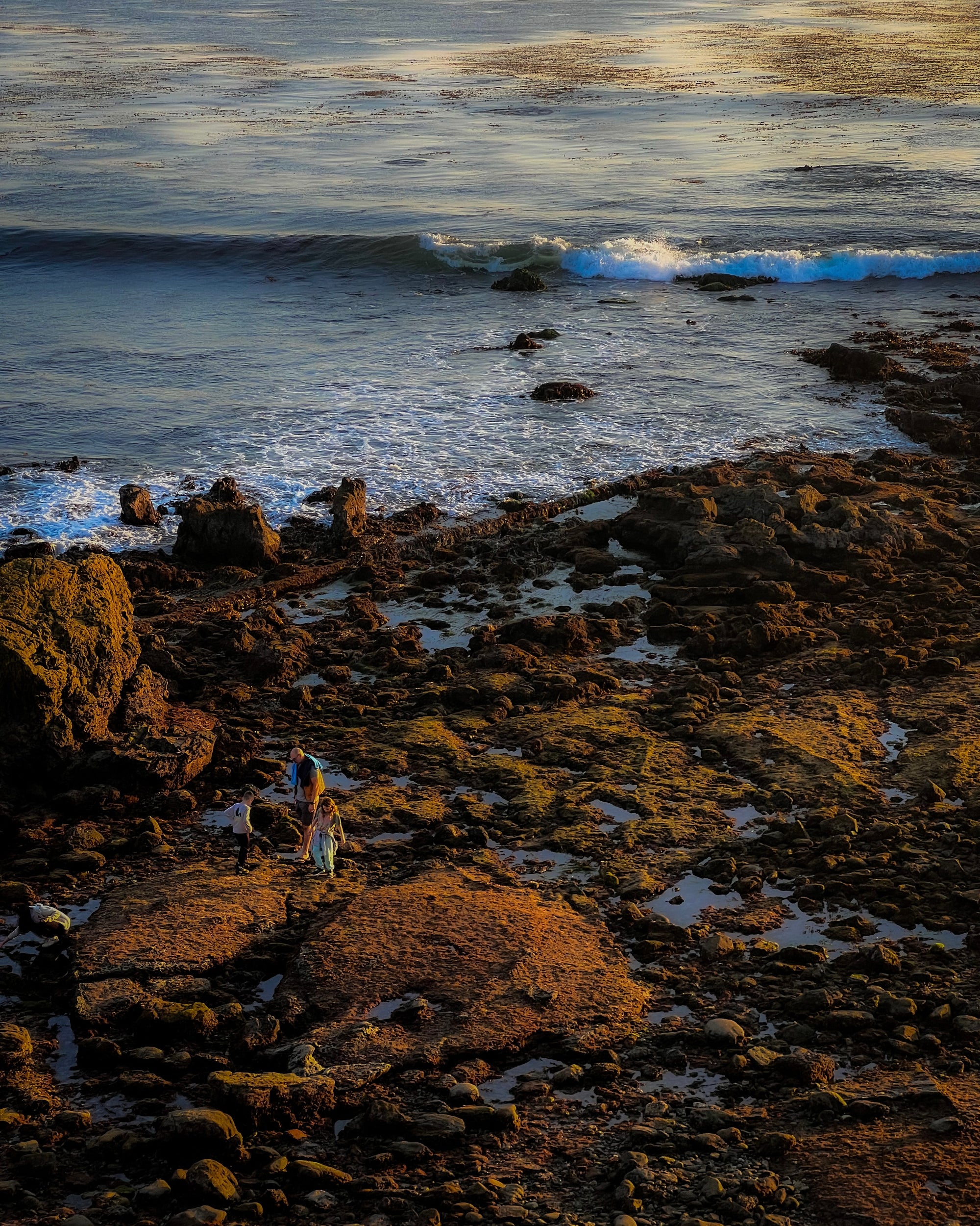 Low Tide