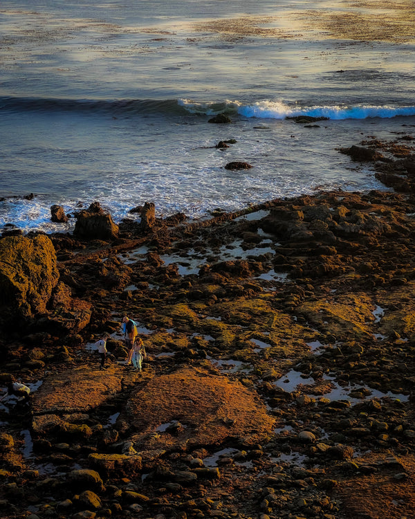 Low Tide